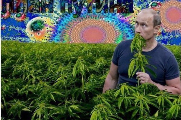 Кракен сайт даркнет зеркало