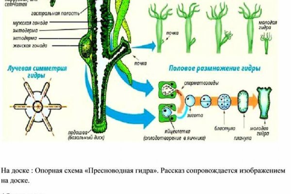 Магазин kraken даркнет